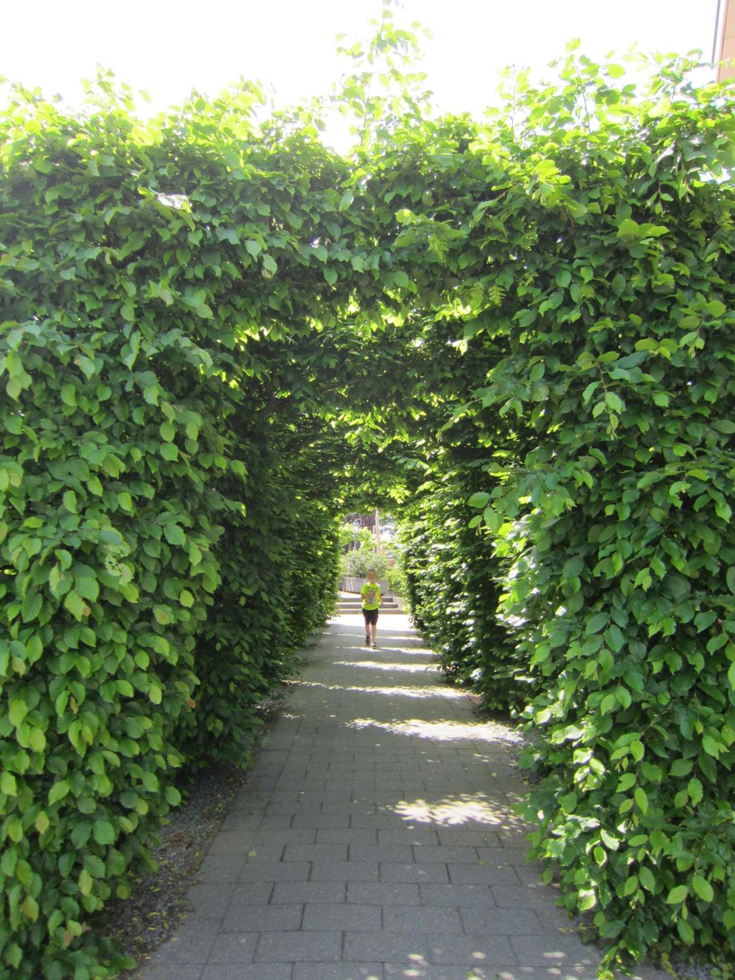 Hderh - Eco Lodge Op Vakantiepark De Ijsvogel, Zwembaden, Kids Fun, Natuur En Rust 부투이젠 외부 사진